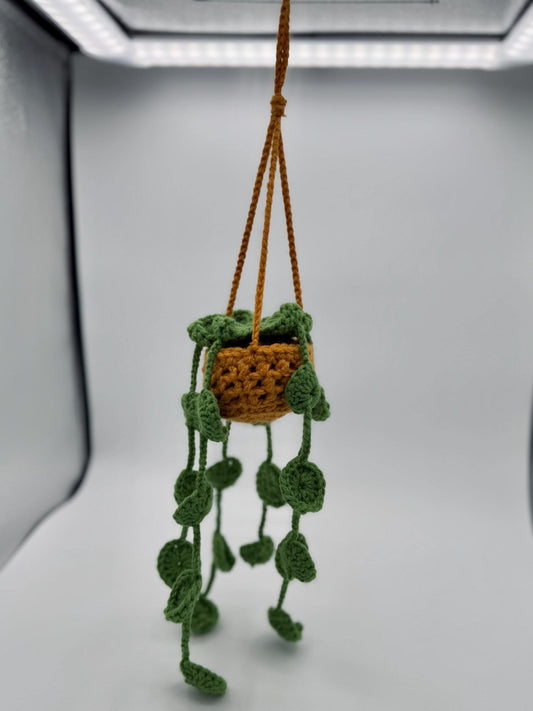 Crocheted Pothos Plant Car Hanger