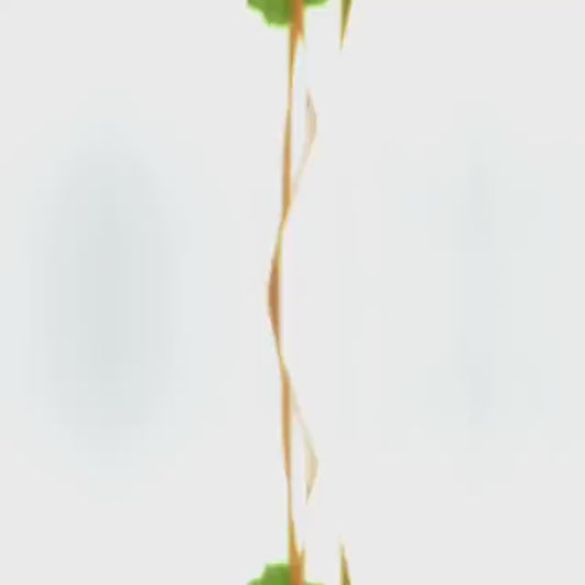 Crocheted Pothos Plant Car Hanger